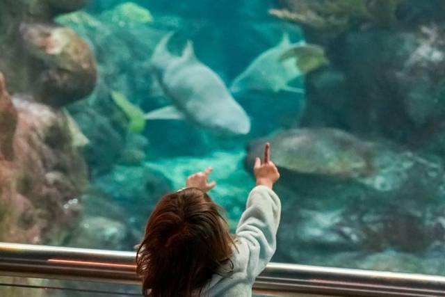 National Aquarium