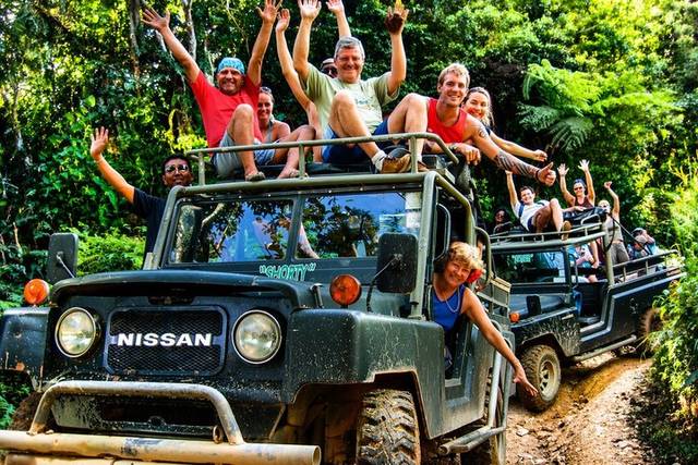 Jungle Safari
