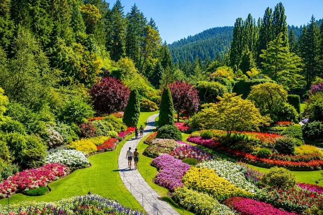 Butchart Gardens