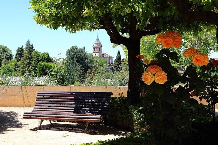 Andalusian Highlights: 6-Day Guided Tour from Madrid