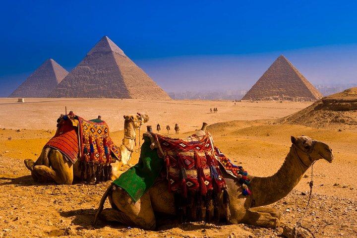Half dayTour Pyramids of Giza Sphinx including Camel ride