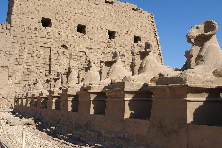 Luxor East Bank Private Tour Karnak Luxor temples