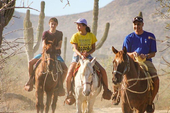 Horseback Riding Tour in Los Cabos