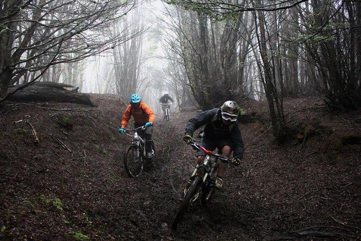 Mountain Bike Adventure in Punta Arenas