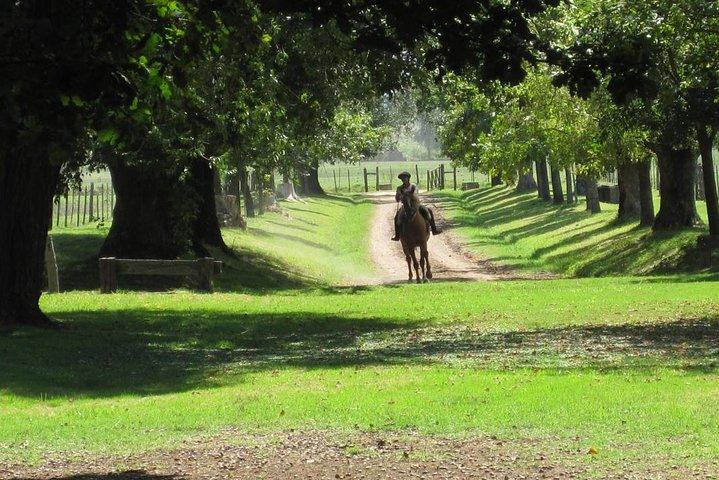 Private Day Tour to an Argentinian Estancia