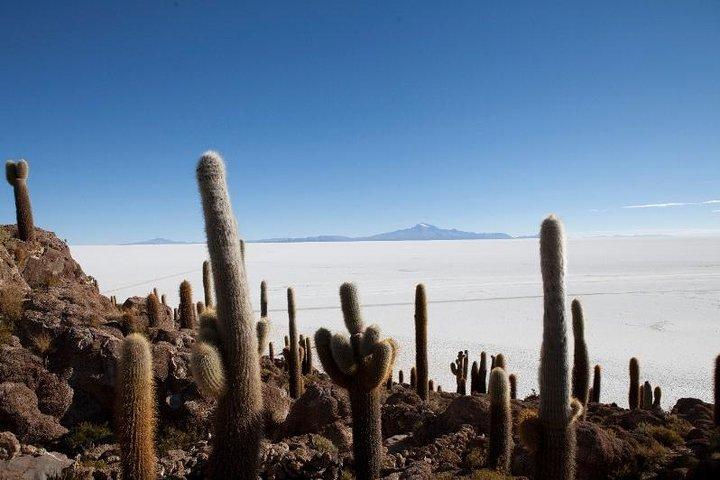 Uyuni Salt Flats Full Day Tour