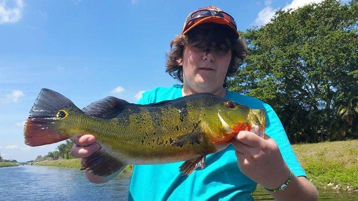 Peacock Bass Fishing Trips Near Key Largo