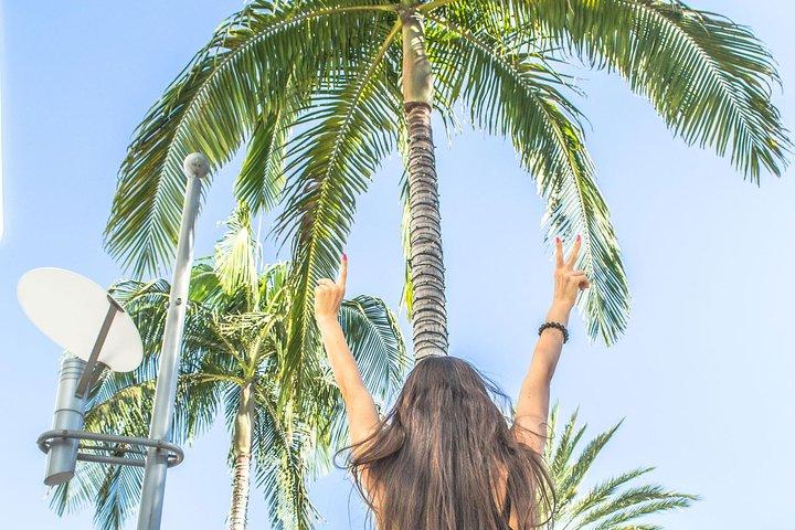 LA Tour: Downtown, Hollywood, Rodeo Drive, Farmer's Market