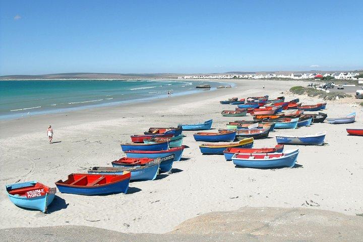 Cape West Coast Full Day Private Day Tour