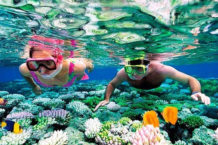 Reef Snorkel adventure in Puerto Morelos With Transport & Lunch