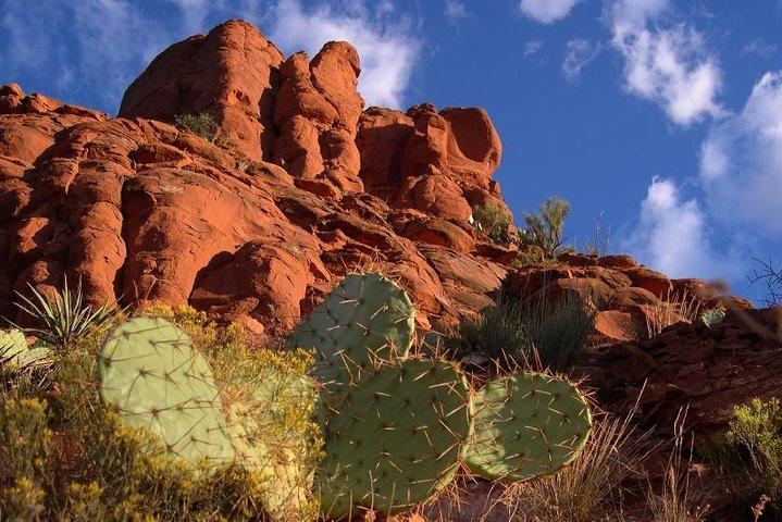 Sedona Red Rock Backcountry Jeep Tour: Moderate 4x4 Adventure