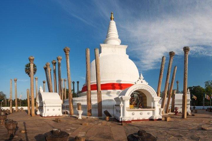 Wild Wonders and Sacred Spaces Tour from Galle (2 Days)