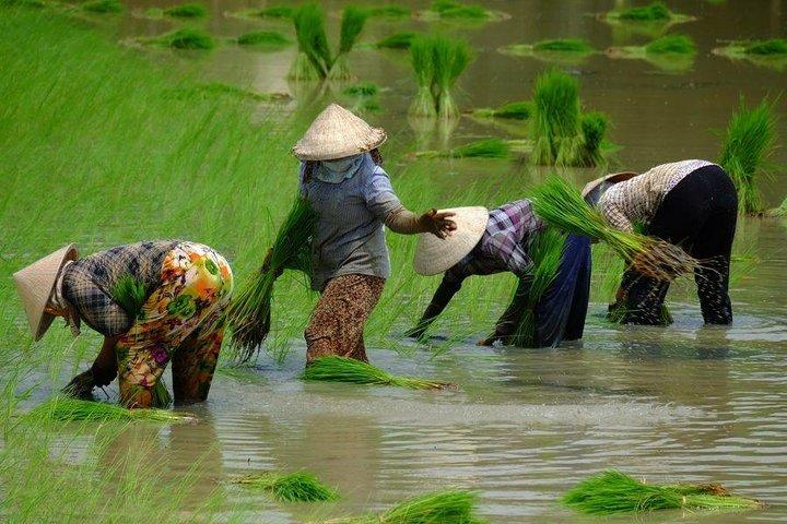 2-Day Mekong Delta and Floating Markets Private Tour