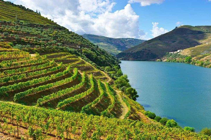 Douro Valley Private Wine and Food Tour From Porto