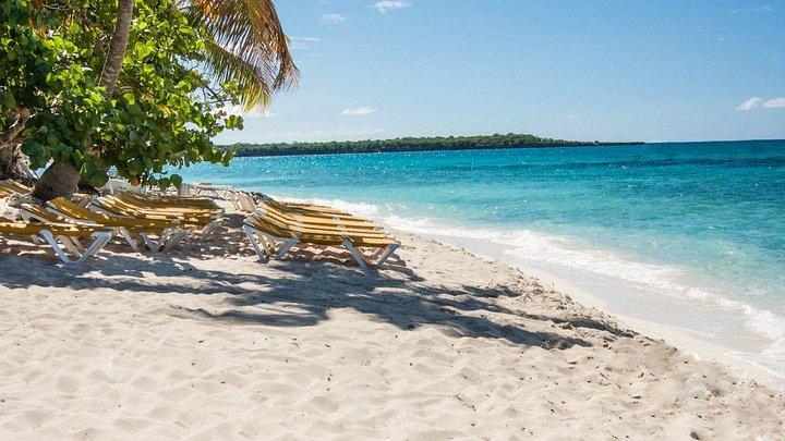 Full-Day Catalina Island Snorkeling Tour from Bavaro