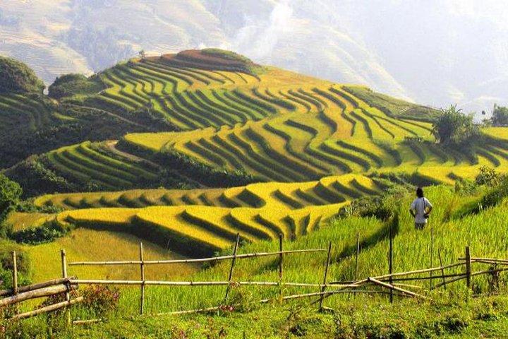 Sapa Tours 2D1N stay At 4 stars hotel nice Sleeping Bus TRANSFER