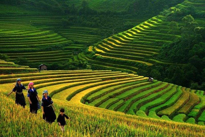THE BEST SAPA TOURS 3 DAYS 2 NIGHTS (01 Nite in 3* hotel , 01 nite in homestay)