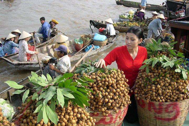 PRIVATE LUXURY Mekong Delta full day from HCM city