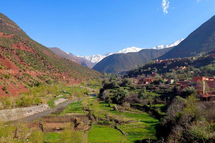 Private Day Trip From Marrakech To Ourika Valley Waterfalls