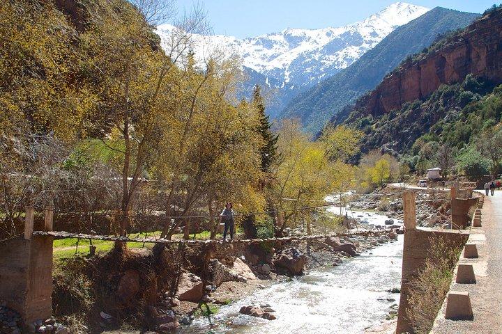 Private Day Trip From Marrakech To Ourika Valley Waterfalls