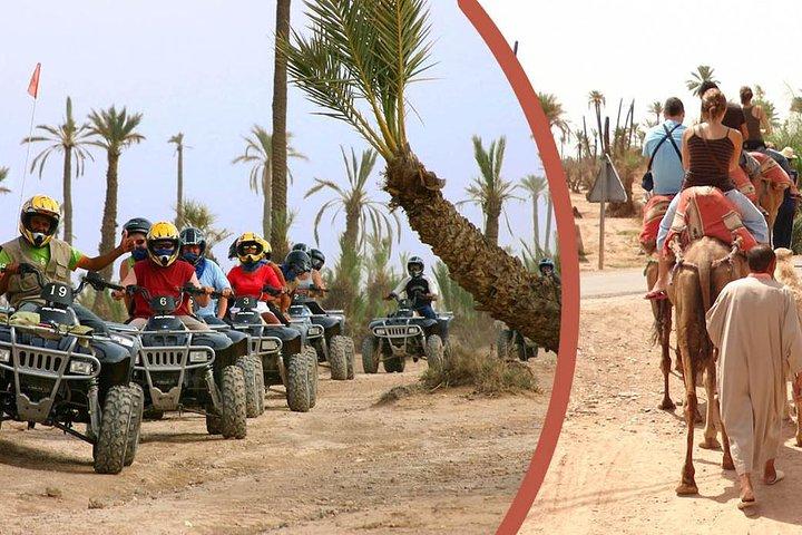 Quad Bike and Camel Ride Full-Day Tour from Marrakech