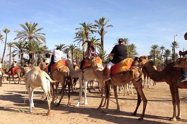 Quad Bike and Camel Ride Full-Day Tour from Marrakech