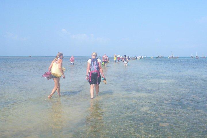 Kwale Island Dhow Sailing Tour from Zanzibar with Seafood Lunch