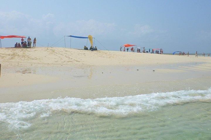 Kwale Island Dhow Sailing Tour from Zanzibar with Seafood Lunch
