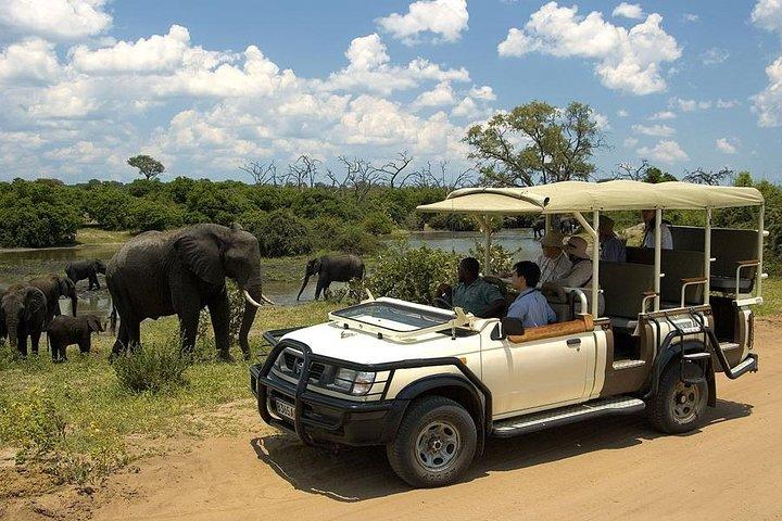 Explore Chobe National Park With a Day Trip from Victoria Falls