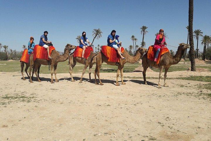 Marrakech Activities: Camel Ride Tour