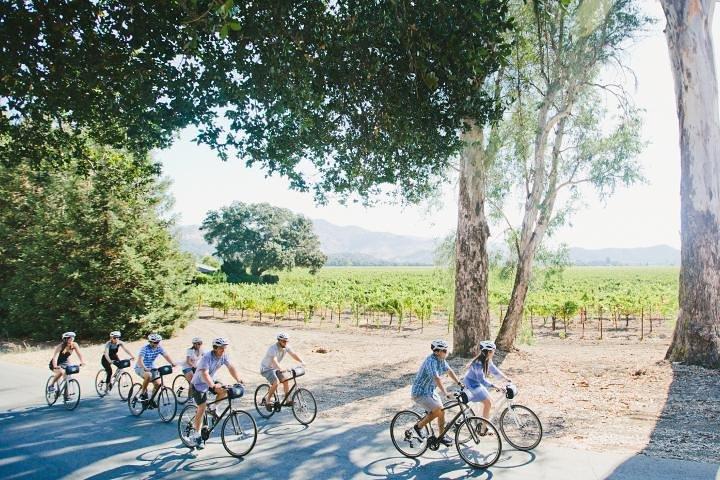 Full-Day Napa Winery E-Bike Tour (with Picnic Lunch)