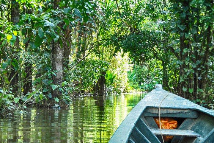 3 days 2 nights - Tambopata Jungle