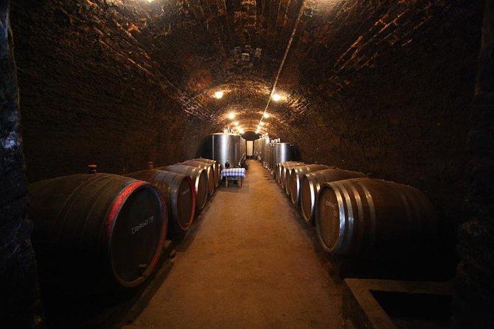 Novi Sad and Sremski Karlovci private tour with wine tasting