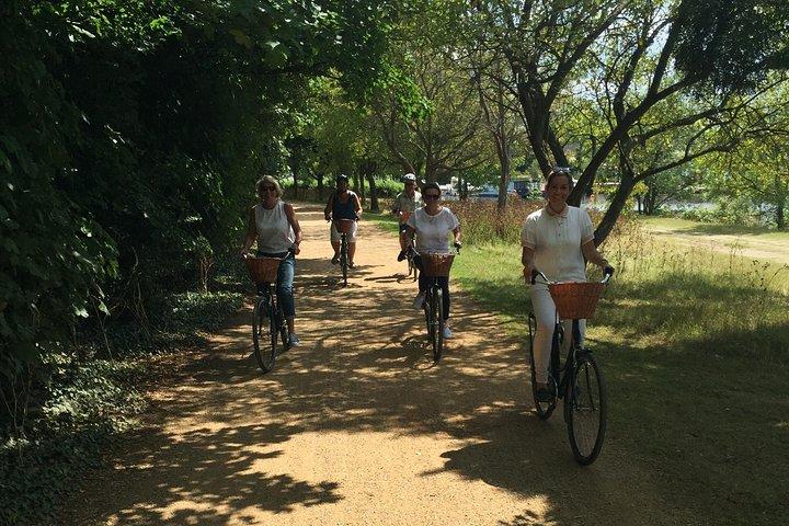 Hampton Court Palace Grounds Bike Tour