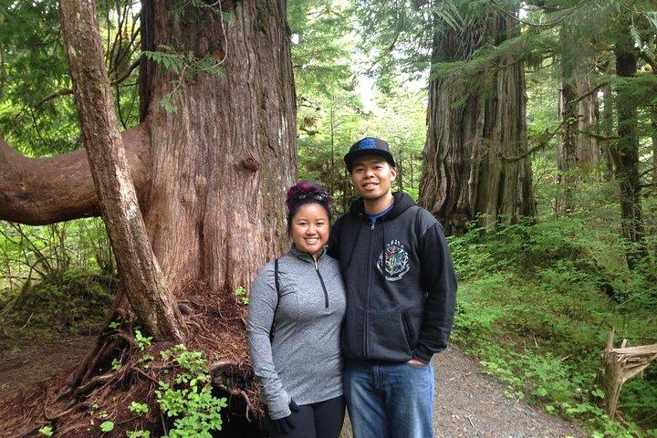 3 Hour Rainforest Walk & Totem Park Wild Wolf Tours