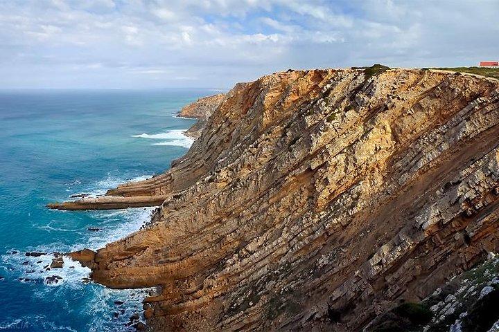 Private Tour: Half-Day visiting Setúbal Winery and Lunch Grill Fish at Sessimbra