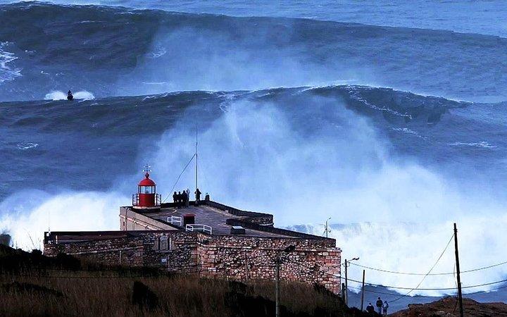 Berlengas Tour