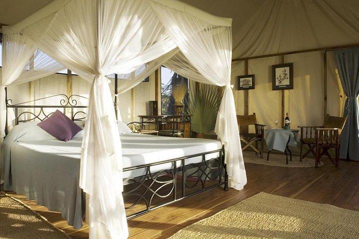6-Day Best of Tanzania Lake Manyara, Serengeti, Ngorongoro & Tarangire - Comfort