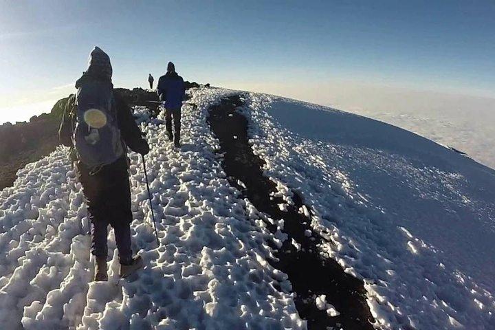 7 Days Mount Kilimanjaro Climb: Machame Route