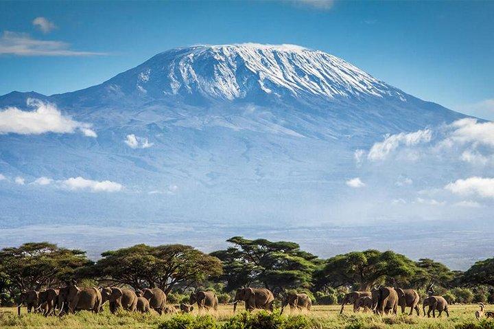 7 Days Mount Kilimanjaro Climb: Machame Route