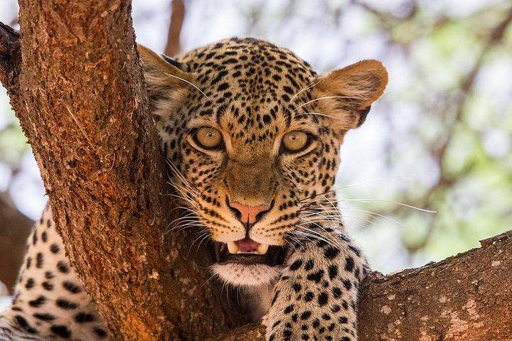 3 Days Masai Mara
