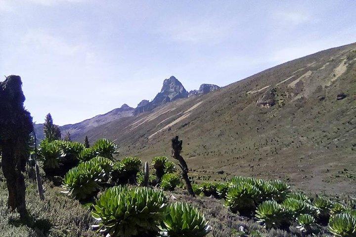 5 Days Mount Kenya Trekking Through Sirimoni-Chogoria Route