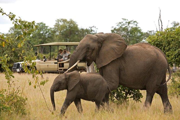 6-Day Tanzania Northern Circuit Camping Safari