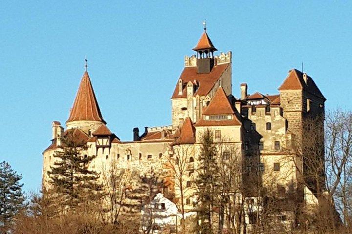 Brasov: Bear Sanctuary, Bran Castle & Rasnov Fortress GUIDED Tour