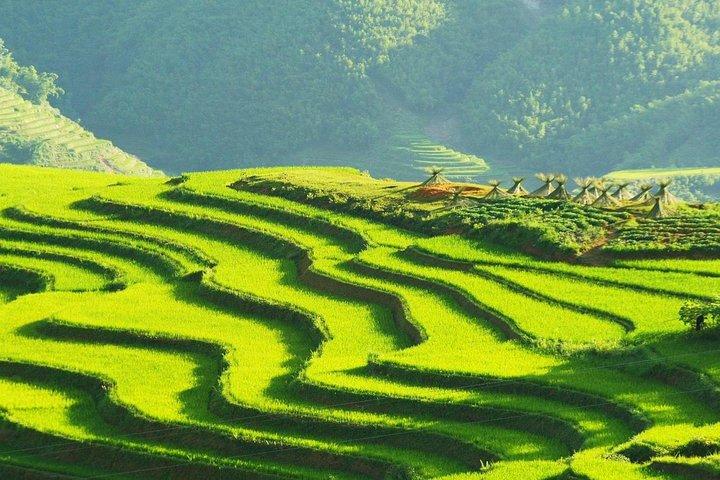 Sapa Trekking Group Tour by Bus from Hanoi with 2 Nights Hotel stay
