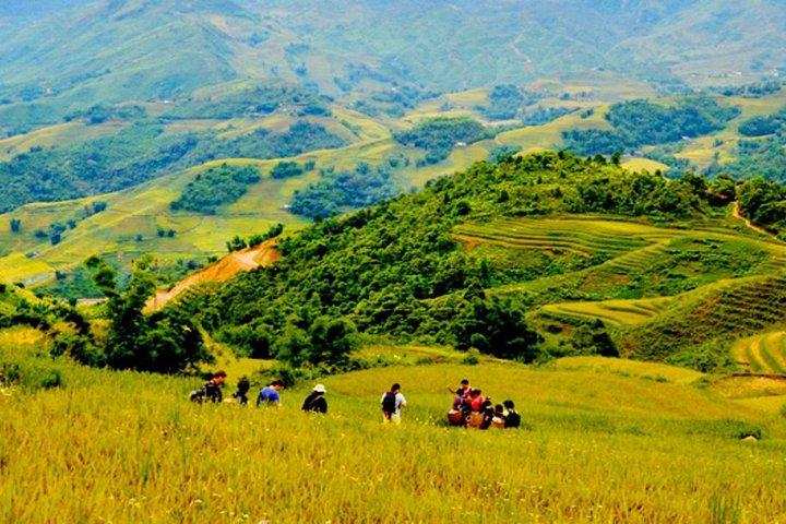 1 day Private tour Sapa trekking Y Linh Ho - Lao Chai - Ta Van (start from Sapa)