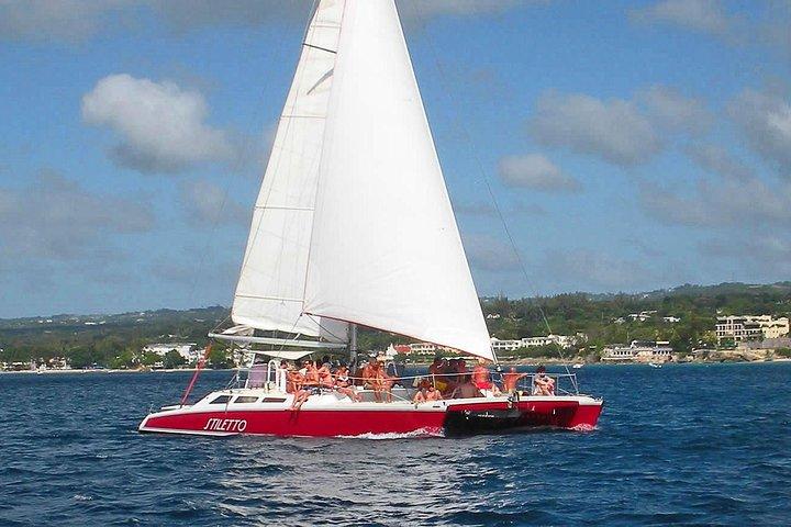 Barbados Catamaran Turtle Snorkel with Lunch and Open Bar