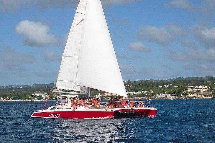 Barbados Catamaran Turtle Snorkel with Open Bar