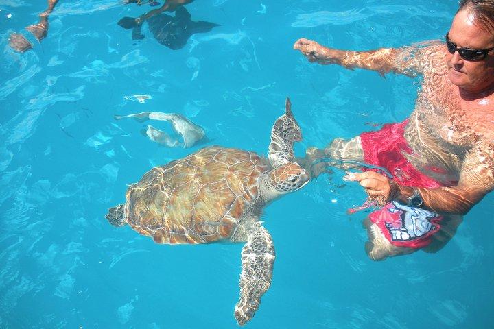Barbados Catamaran Turtle Snorkel with Open Bar