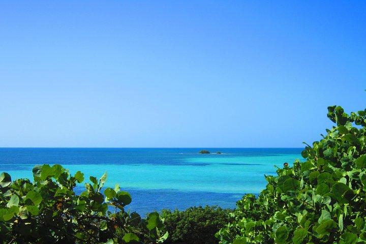 Full-Day Tour of Florida Keys Including Aquarium Encounters from Key West
